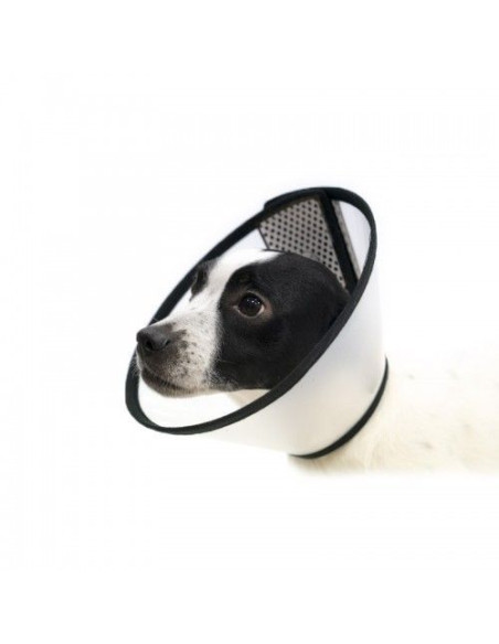 Collar Isabelino Pet E-Collar S