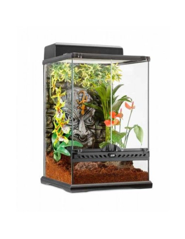 Terrario Tiki Minitall.