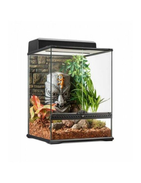 Terrario Tiki Peq Tall