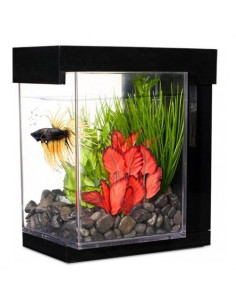 Marina Betta Ez Care Style Kit 3,7 L Negro