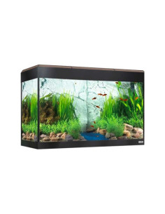Fluval Roma Acuario LED Bluetooth 125L, Nogal