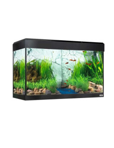 Fluval Roma Acuario LED Bluetooth 125L, Negro