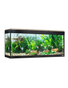 Fluval Roma Acuario LED Bluetooth 240L, Roble