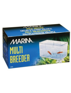 Marina Paridera, Multi 2