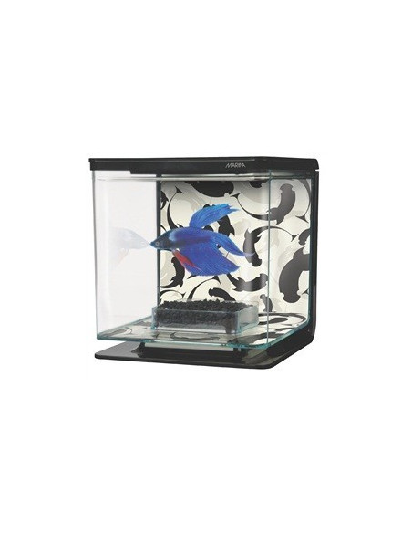 Marina Betta Kit, Ying Yang