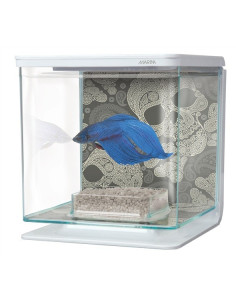 Marina Betta Kit Calavera 2