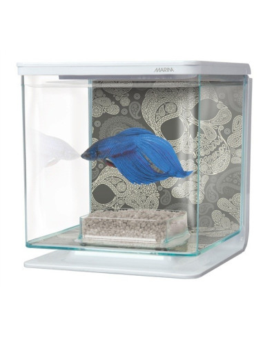 Marina Betta Kit - Craneos