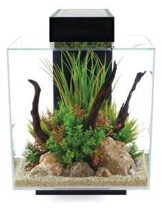 Fluval Edge LED 2.0 Nano Acuario, Negro, 46L 2
