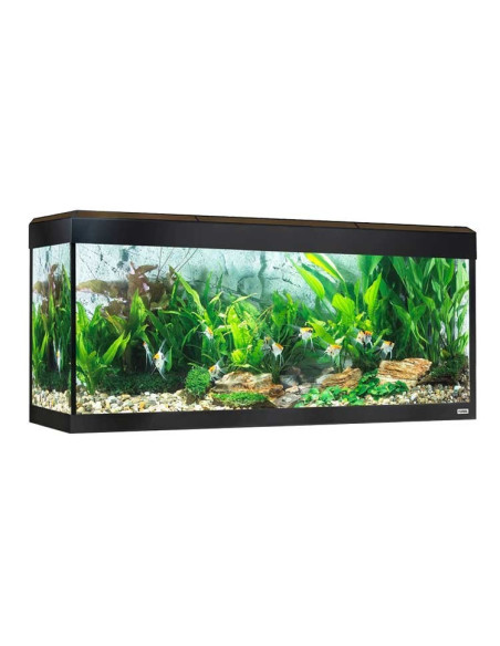 Fluval Roma Acuario LED Bluetooth 240L, Nogal
