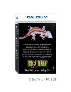Exo Terra Calcio en Polvo 40g 2