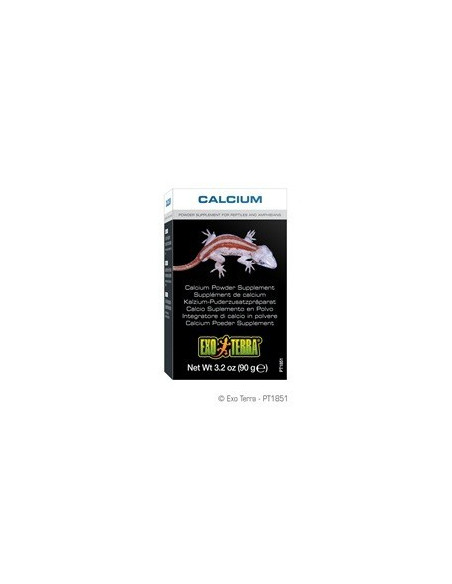 Exo Terra Calcio en Polvo 90g
