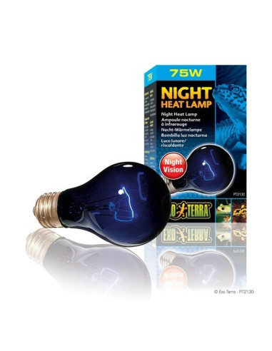 Exo Terra Night Heat Lamp, 75W