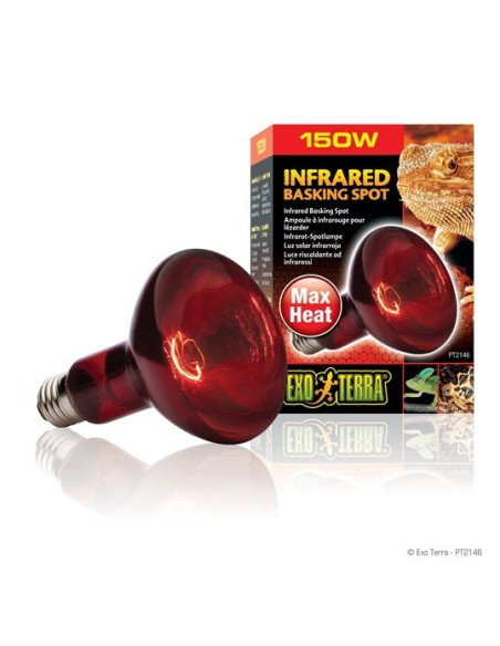 Heat Glo Infra-Rojo Nocturno 150 W