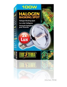 Exo Terra Halogen Basking Spot, 100W 2