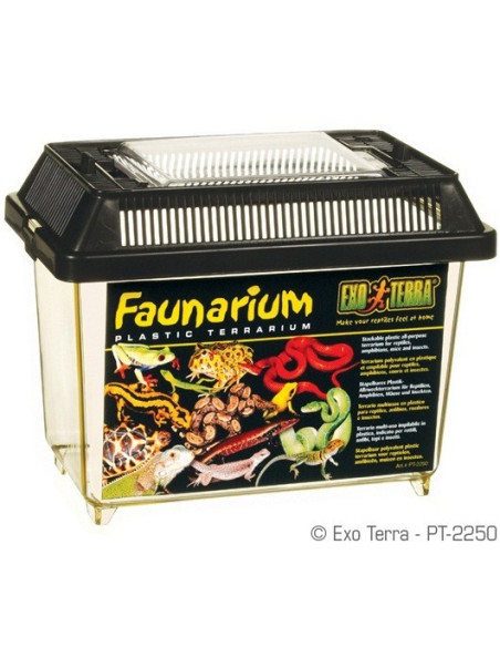 Exo Terra Faunarium, Mini