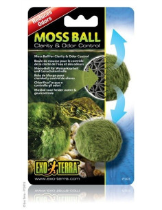 Moss Ball 2
