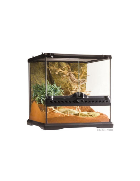 Terrario Mini