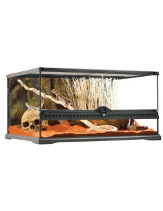 Exo Terra Terrario M/Low, 81L, 60X45X30cm 2