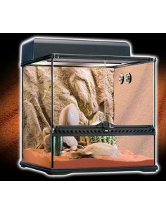 Exo Terra Habitat Kit Desértico 60L M. 45x45x45 2