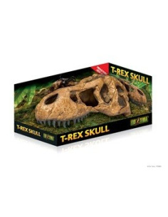 Exo Terra Craneo T-Rex 2