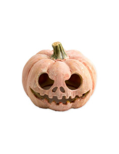 Exo Terra Calabaza Fluorescente 2