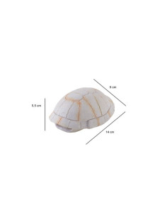 Exo Terra Dino Tortuga 2