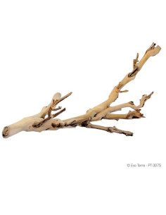 Exo Terra Forest Branch Peq. 30cm 2