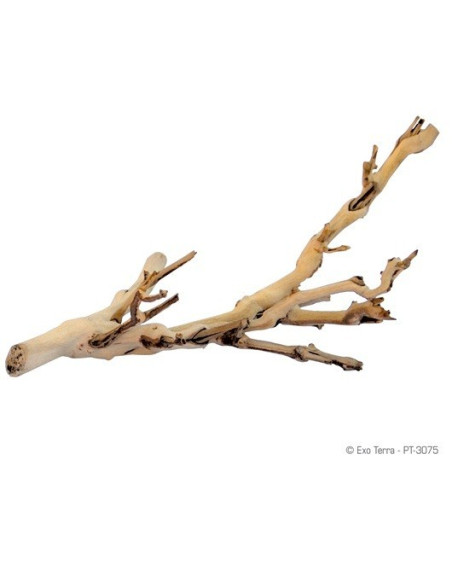 Forest Branch Peq. 30 Cm