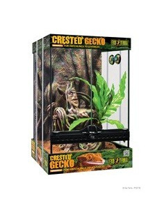 Exo Terra Kit Terrario GeckoCrestado, S 30x30x45cm 2