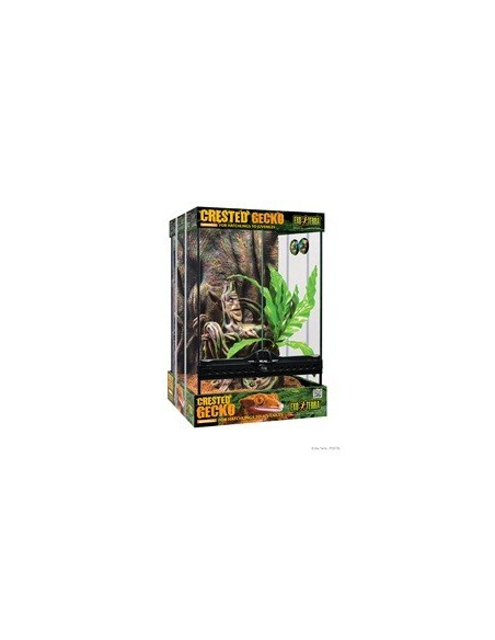 Exo Terra Kit Terrario GeckoCrestado, S 30x30x45cm