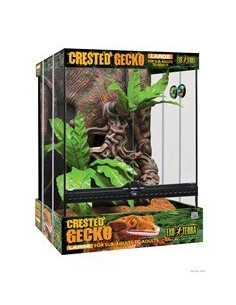 Exo Terra Kit Terrario GeckoCrestado, L 45x45x60cm 2