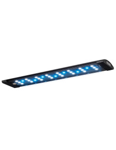 Fluval Spec EVO52l iluminación y Tranf.