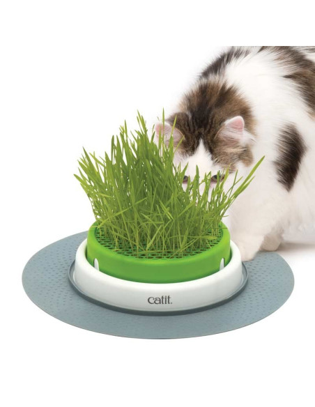 Catit Senses 2.0 Germinador Con Hierba Gatera