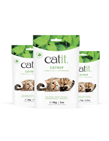 Catit Catnip Bolsa, 56g