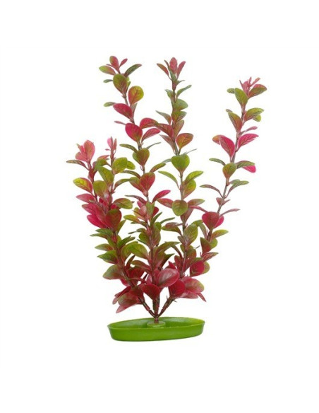 MARINA AQUASCAPER PEQ.  LUDWIGIA ROJA 12,5 cm