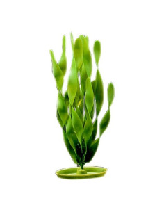 MARINA AQUASCAPER GDE.  JUNGLE VALLISNERIA 30cm 2