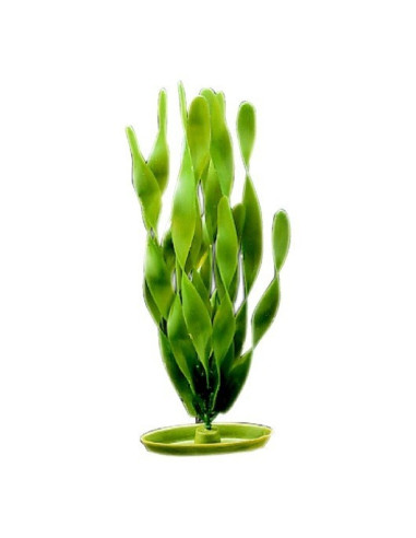 Marina Aquascaper Gde.  Jungle Vallisneria 30cm