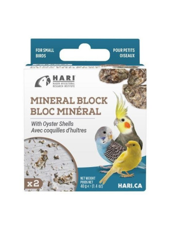 Bloque Mineral con Conchas Ostras, 2uds, 40g