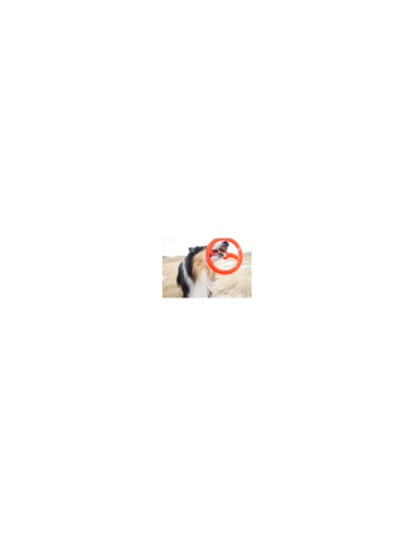 BIONIC Toss N Tug Ring, 22.7cm