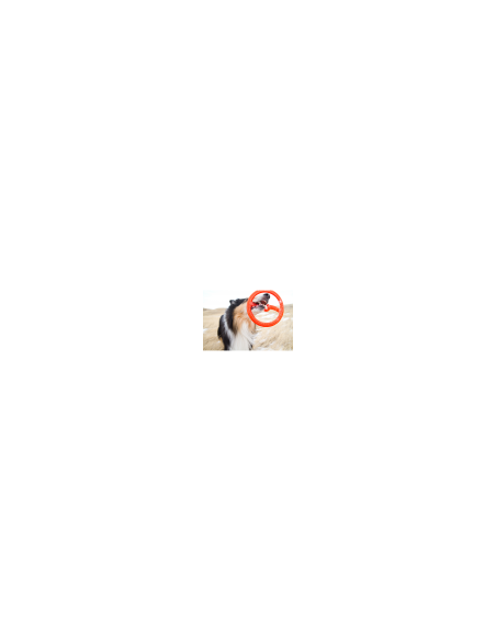BIONIC Toss N Tug Ring, 22.7cm
