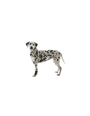 PROTECTOR CARPAL PERRO REHAB KRUUSE T-M