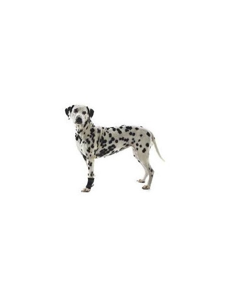 PROTECTOR CARPAL PERRO REHAB KRUUSE T-M
